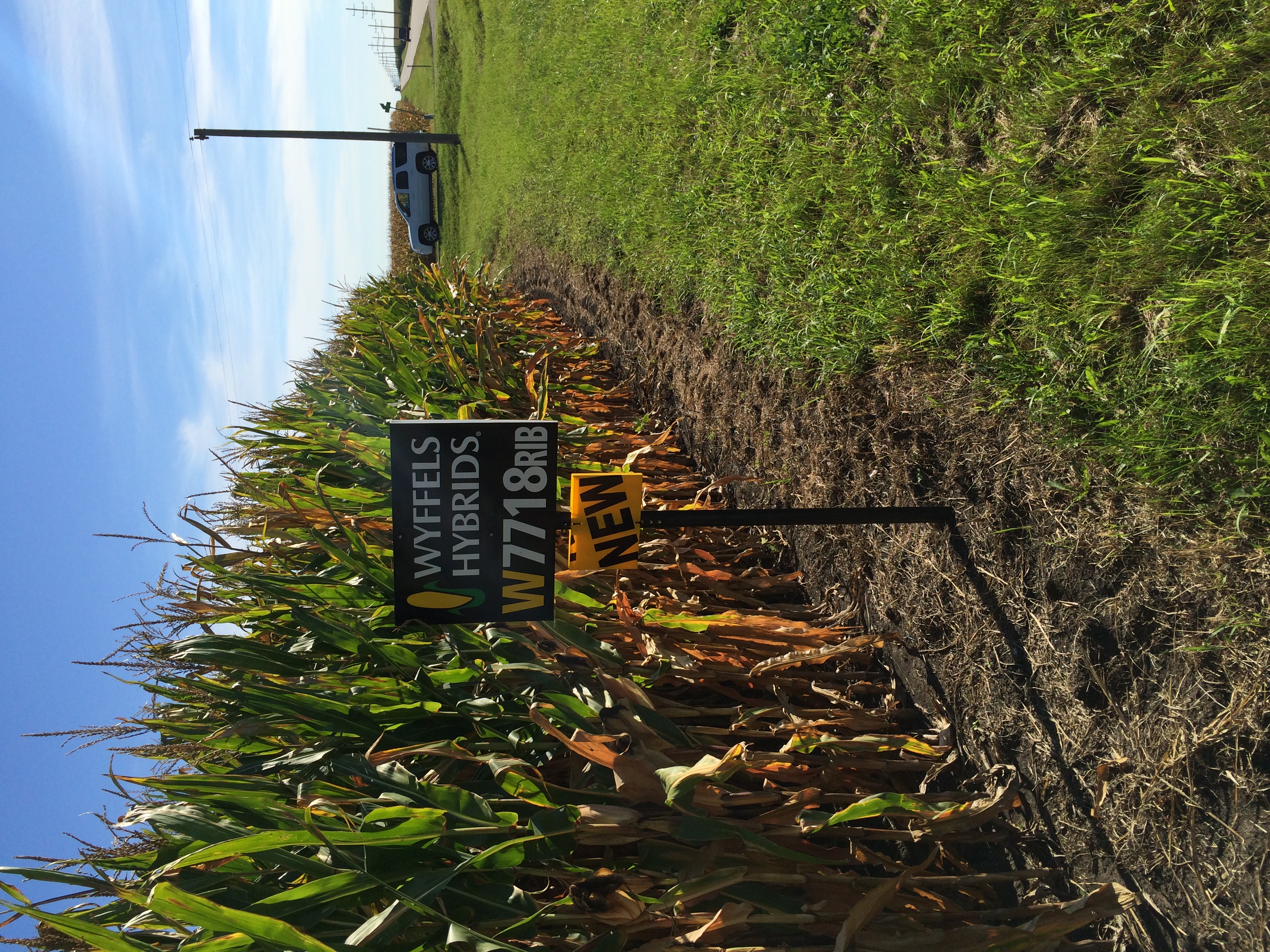 Corrugated plastic field sign in agricultural setting
